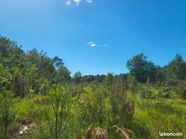 Vente de terrain non constructible