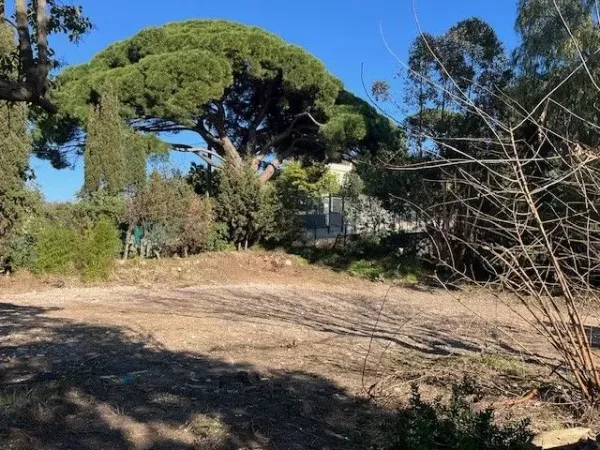 Terrain 350 m²