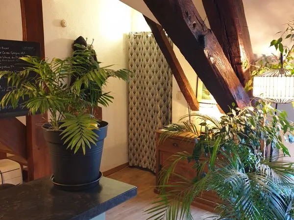 Vente duplex hyper centre orleans