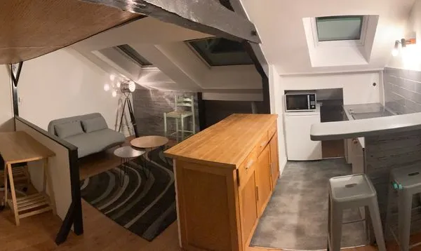 T1 Bis 20 M2 Meublé