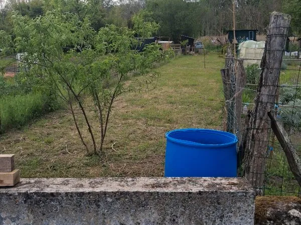 Jardin potager 162 m2 Veigné