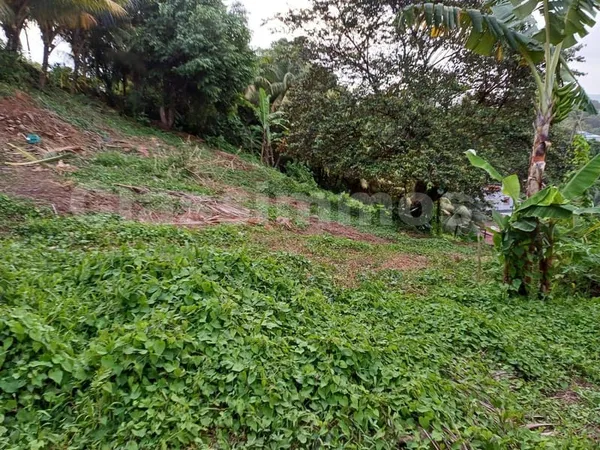 Terrain constructible 568 m²