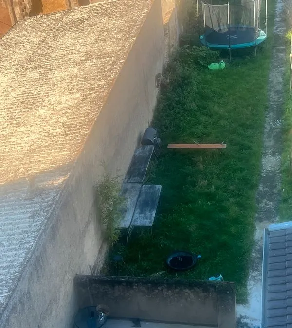 Photo 3