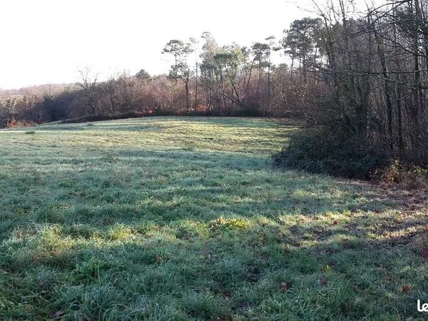 Petit terrain de loisirs à Misson (Landes) près de la route