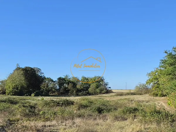 Terrain 1205 m²
