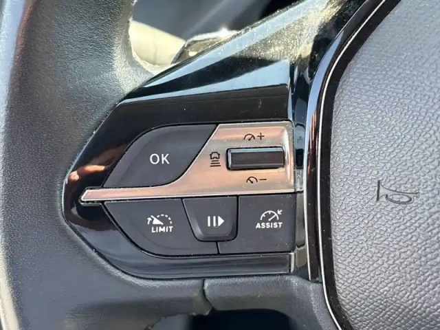 Peugeot 308 phev 180 e-eat8 — photo 18