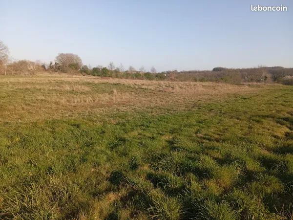 Terrain Agricole 5 hectares Cadalen