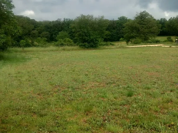 Terrain constructible