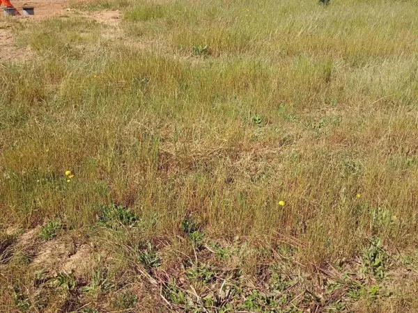 Terrain 404 m²