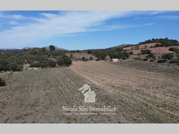 Terrain en individuel 19998 m²