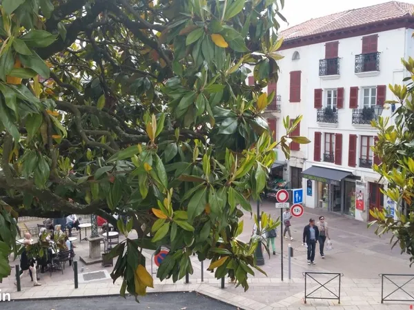 F3 plein centre saint jean de luz