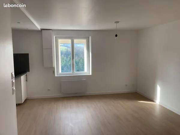 Appartement Studio Saint Genest Lerpt / Saint Etienne Côte Chaude