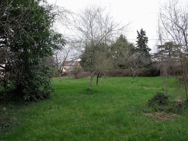 Terrain constructible