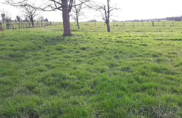Terrain à bâtir de 1037 m² à Villers-le-Sec