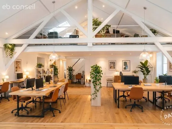 Bureaux/Locaux professionnels 350 m²