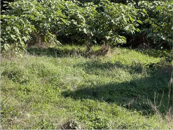 Terrain 630 m²