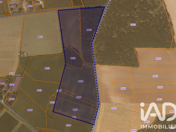 Terrain 60000 m²