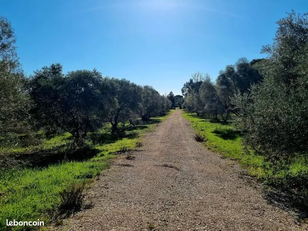 Terrain 240 m² Ceyras