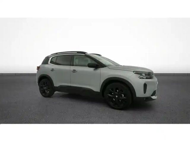 Citroën C5 Aircross bluehdi 130 eat8 — photo 11