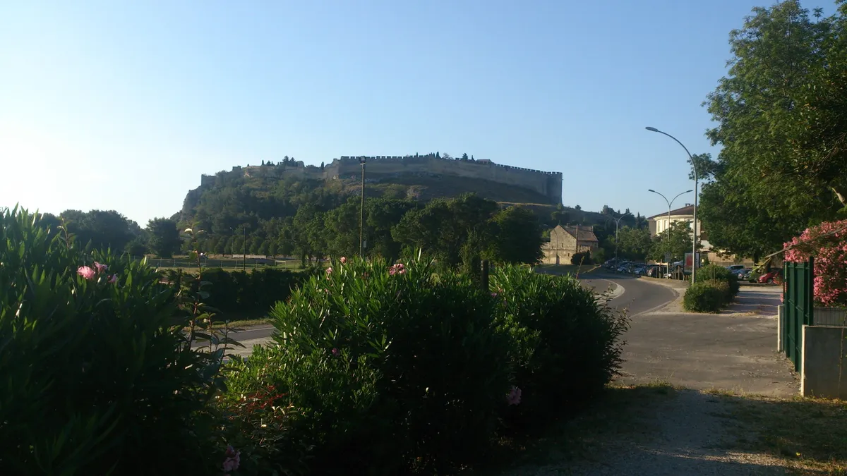 Photo 16