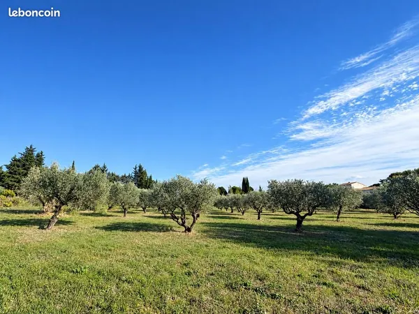 Terrain 1 200 m² Saint Maximin La Sainte Baume