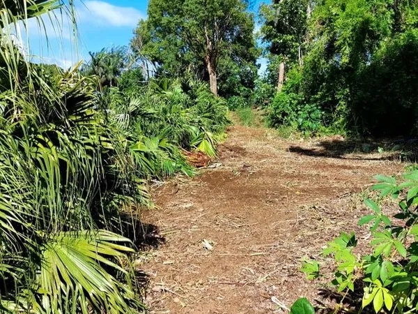 Terrain 1356 m² St joseph 370 000