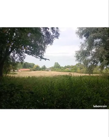 Loue parcelle de 13150m2