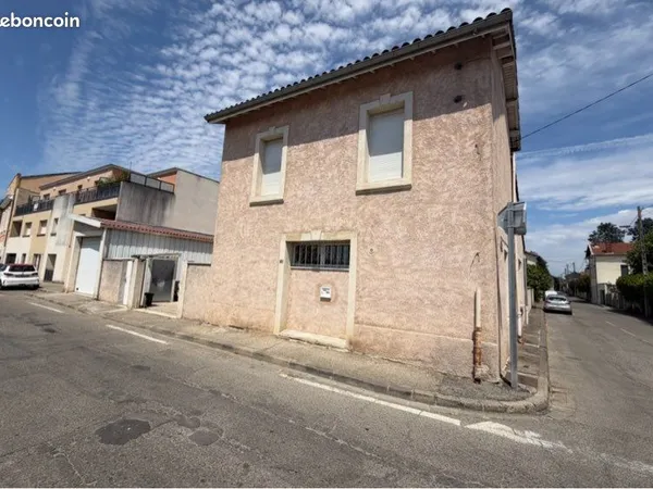 Maison familiale rénovée avec piscine, grand garage et jardin arboré - Romans-sur-Isère