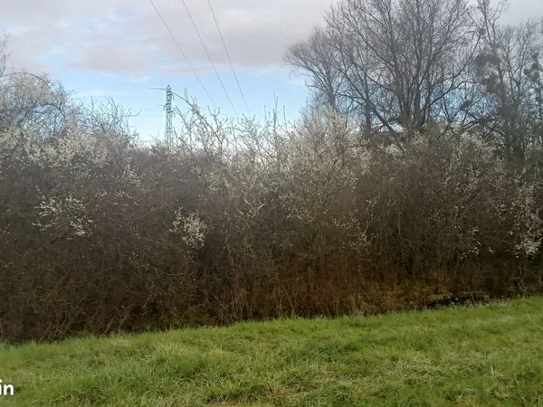Terrain de 740m2