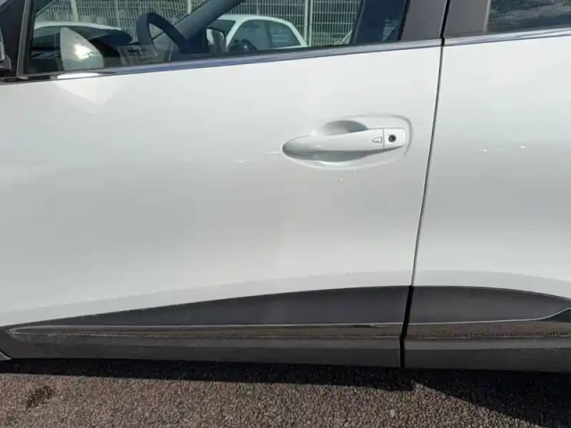 Renault Kadjar blue dci 115 — photo 38