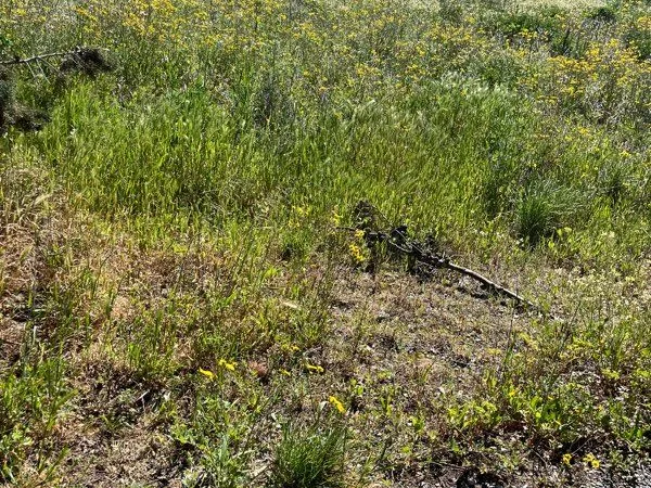 Terrain agricole loisir