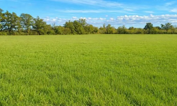 Terrain agricole 62800 m²