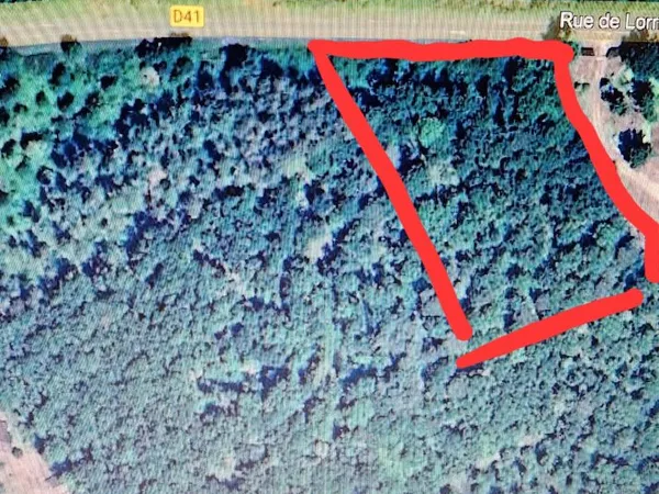 Terrains boisés
