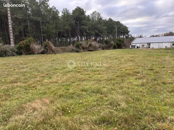 Terrain 3 000 m² Monce En Belin