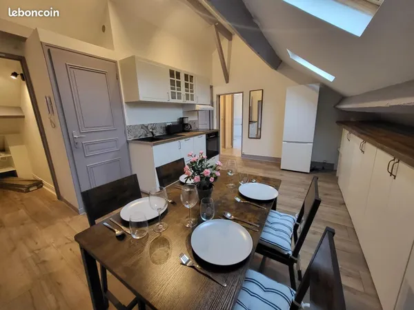 Appartement meublé 56 m² — lumineux, rénové, traversant — disponible fin juin