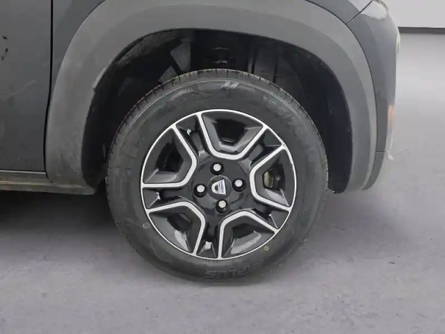 Dacia Spring achat intégral — photo 245