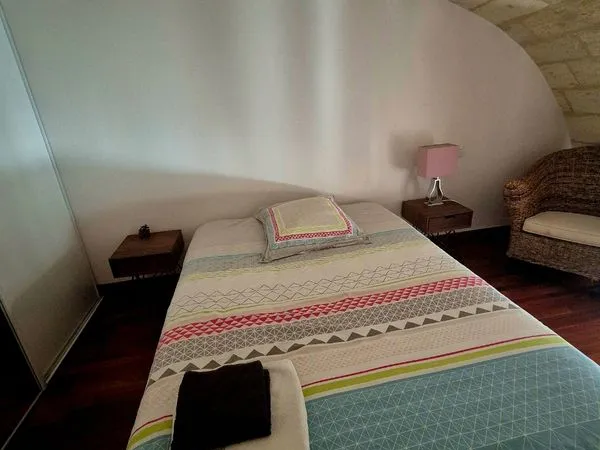 Chambre chez l'habitant - Superbe appartement Bordeaux hyper centre avec Terrasse (à partir de novem
