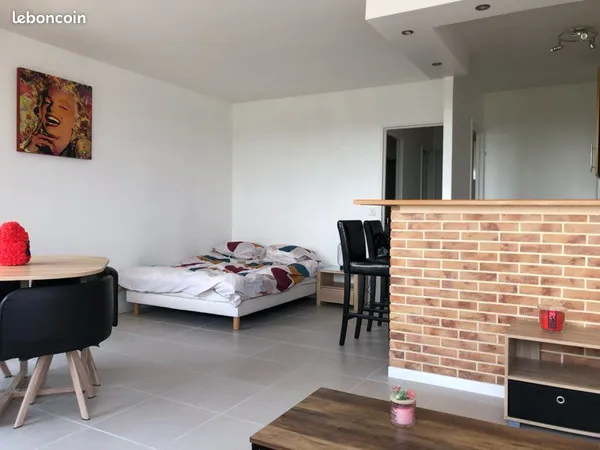 Studio Loft 40m2 hyper centre ville