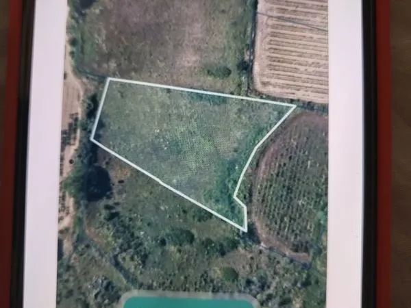 TERRAIN - 2 terrains sur la commune de Gabian - 8930m²