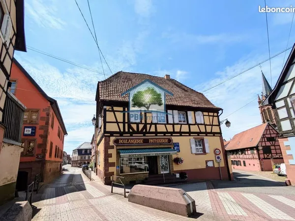 Immeuble 10 pièces 217 m²