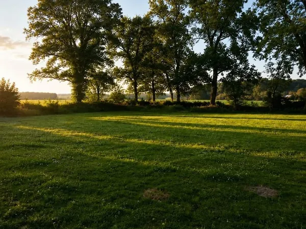 Terrain 1000 m²
