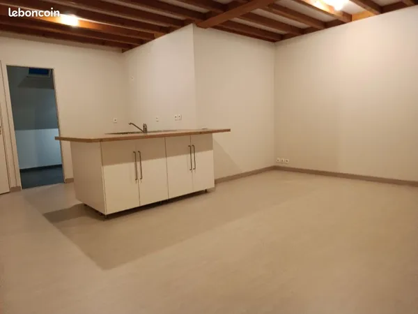 Appartement duplex au 1er étage
