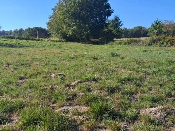 Terrain 1306 m²