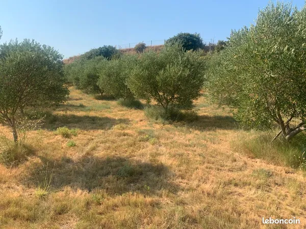 Terrain agricole