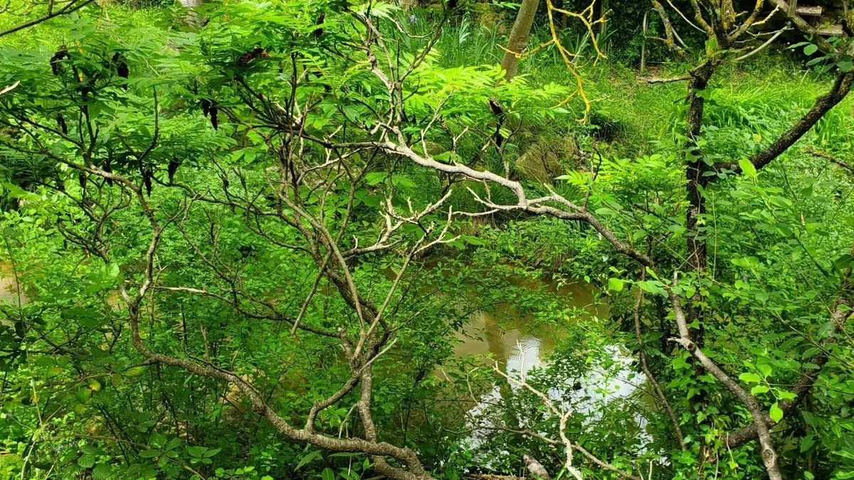 Photo 3