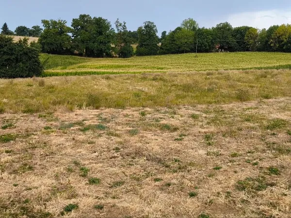 Terrain 3000m2