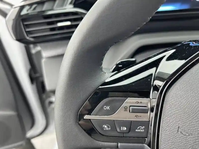 Peugeot 308 sw hybrid 145 e-dcs6 — photo 82