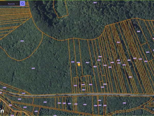 Terrain non constructible forestier 7400 m² - Volvic 63530