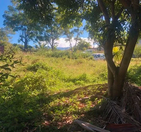 Terrain 433 m² ligne des Bambous Saint Pierre