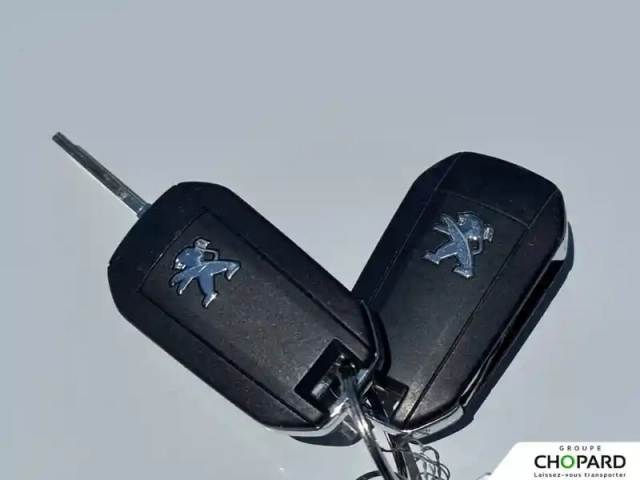 Peugeot Partner fourgon m 650 kg bluehdi 100 s&amp;s bvm6 — photo 21
